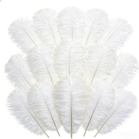 Lot de 20 grandes plumes d’autruche blanches naturelles 25-30 cm, plumes duveteuses pour mariage, centre de table, bouquet floral, décoration sapin de Noël, artisanat DIY (1/5)