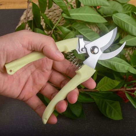 Sécateur à lame-Sécateur à branche-Ensemble de 2 sécateurs de jardin multifonctions-Pour couper des fleurs et des arbres fruitiers (1/5)