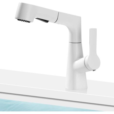 Robinet Cuisine Douchette Mitigeur Cuisine Pivotante à 360 Robinet 2 Modes Salle Bain Haut Peut avec Monotrou L'Eau Froide et Chaude pour Évier Cuisin (1/5)