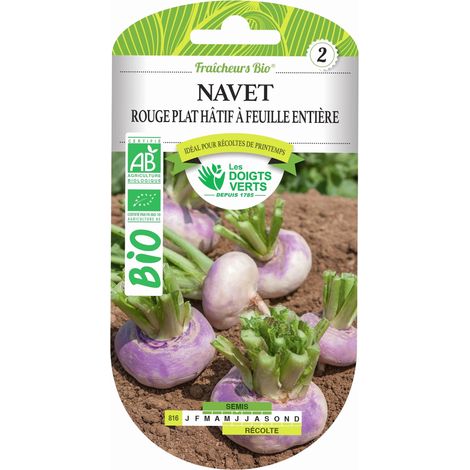 Semillas de nabo rojo plano temprano BIO Los Dedos Verdes (1/2)