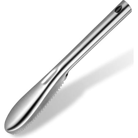 Racloir à Poisson - est Brosse Scaler - Racloir à Écailles - Argent - Acier Inoxydable - 22,53,5 cm - Détartrant à Poisson - Enlever les Écailles - Détartrant Poisson - Ustensiles de Cuisine - Pour Fr (1/5)