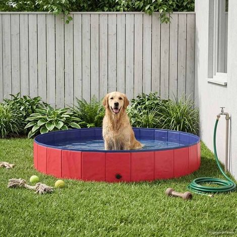 Piscine de marque Red Dog, 200 cm de diamètre, 30 cm d'épaisseur, en PVC. (1/4)