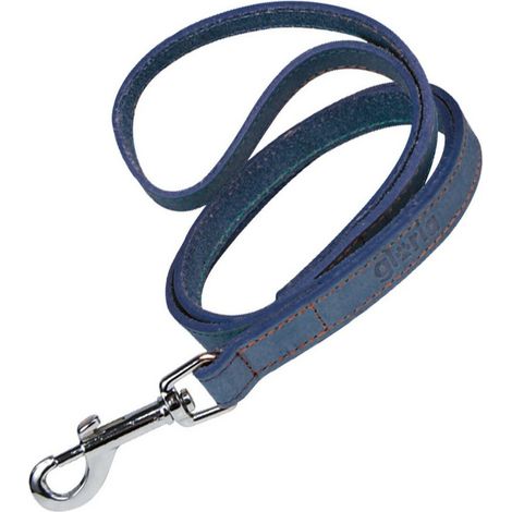Guinzaglio per Cani Gloria Oasis 3 x 60 cm Azzurro (1/5)