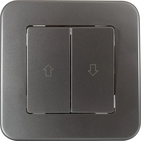Interruptor para Persianas Automáticas Classic Plateado