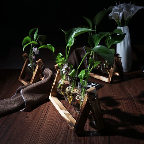 Vase terrarium vintage en bois avec support en bois, vase en verre, pot de table pour la décoration de la maison ou du bureau. (1/5)