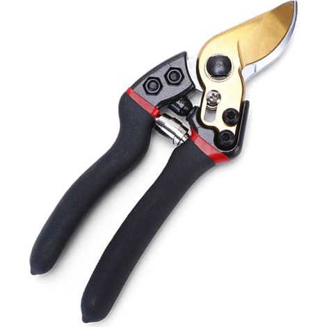 Secateurs - Coupe-Branches Manuel - Pour Taille Arbres Plantes Jardin - 20 cm - Acier Inoxydable - 1 Pièce (1/5)