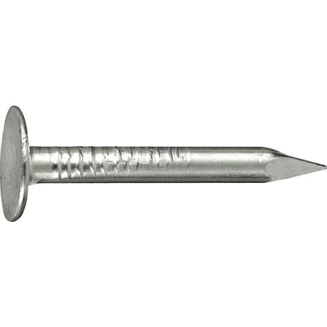 Pointe pour ardoise A2 2,8x 35 a 1,0kg