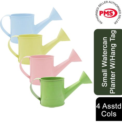 Small Water can Planter with hang Tag 4 assorted Colours (1/5)