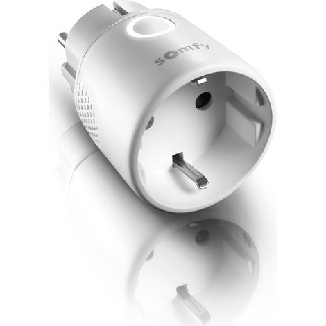 Presa Elettrica Radio On-Off Io Tipo F Per TAHOMA SOMFY 1822618 (1/3)
