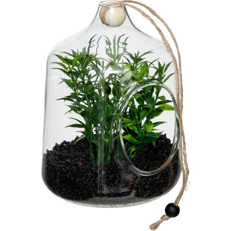 Terrarium à Suspendre "Naly" 15cm Vert (1/5)