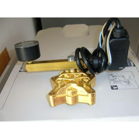 TESTATA POMPA PARTNER OTTONE D.12 COMPLETA ORIGINALE LAVORWASH 5.008.0238 (1/4)
