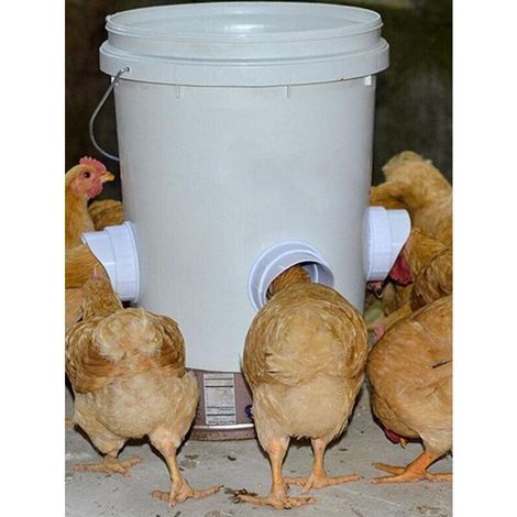 Kit d'alimentation professionnel imperméable pour volaille - Outils spéciaux pour l'élevage de poules et canards - Pour seaux/tonneaux/bacs/abreuvoir (1/3)