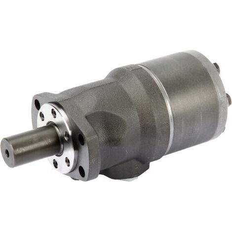 Moteur DANFOSS OMH400151H1015 (1/5)