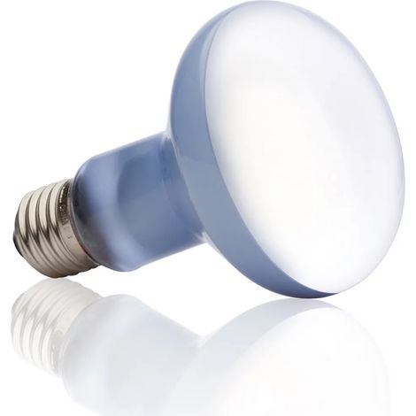 Exo Terra PT2133, 100 W, 1 pièce, R25, 2640 K, lumière du jour, 780 lm (1/5)