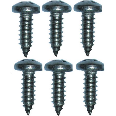 HL083.1E Schrauben 4.5x12mm (6 Stk.)