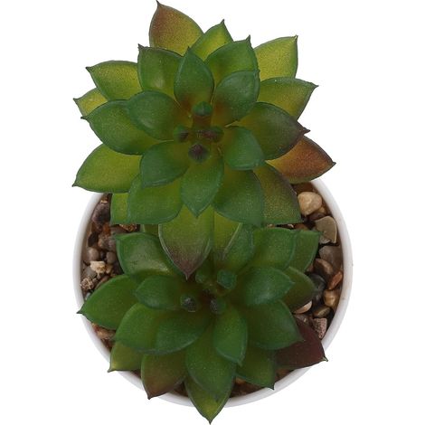 Plante Succulente Artificielle Réaliste Pot en Plastique, sans Entretien Quotidien, Décoration pour Bureau et Jardin, Mini Fausse Plante Décorative (1/5)