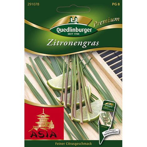 Quedlinburger Saatgut – Citronnelle – Graines d'herbes aromatiques, hauteur 40-100 cm, pour la cuisine asiatique