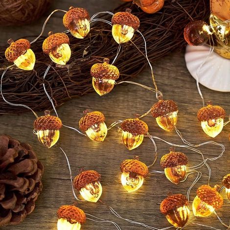 Garland bright 3D in shape of glands for Thanksgiving, decorations of automne, decorations of recolte, 3 meters, 30 LED, power supply USB, suitable for crowns of bedroom and other decorations (1/5)