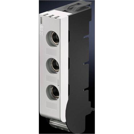 Rittal SV 9630.005 Socle fusible curseur plastique 1 pc(s) A778672 (1/3)