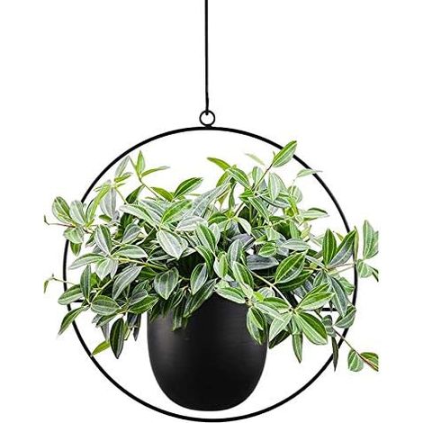 Jardinière suspendue en métal, Plantes suspendues, Suspension Plante Support Pots de Fleurs, Décoration du Jardin Interieur Extérieur Balcon Plafond, avec chaîne Suspendue, Noir (1/5)