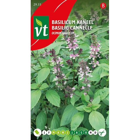 Basilic Cannelle - Ca. 0,5 gr (Livraison Gratuite) (1/2)