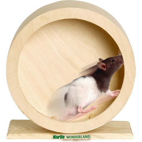 Karlie - BOGIE WHEEL Holz-Laufrad für Nager - 20 cm (1/2)