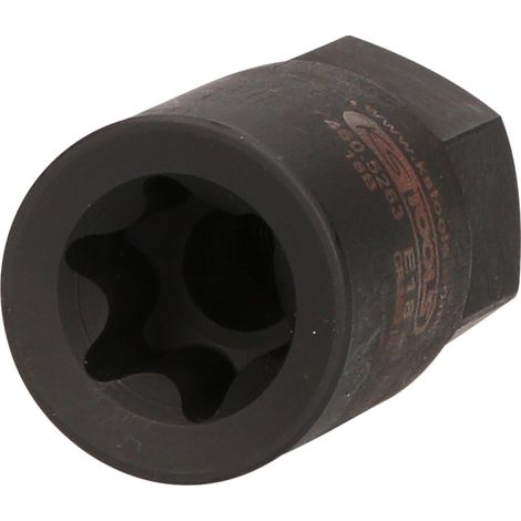 KS Tools Bremssattelstecknuss für MAN, E18 - 460.5263 (1/5)