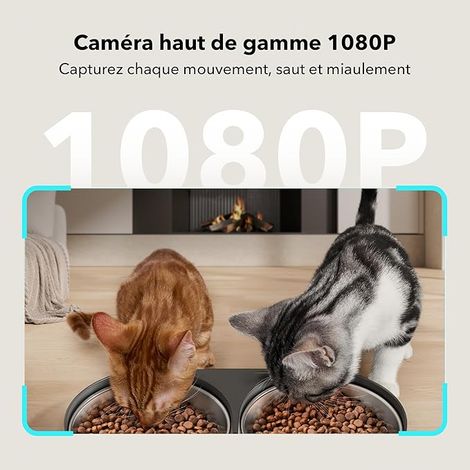 Cat Food Dispenser Automatic Pet Feeder with Stainless Steel Bowls Cat or Dog Bowls (1/4)