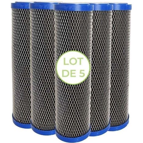 UlisemLot von 5 2 in 1 Wasserfilterkartuschen 10 Zoll - Anti-Sediment + 5 Mikron Aktivkohle Verunreinigungsfilter (1/4)