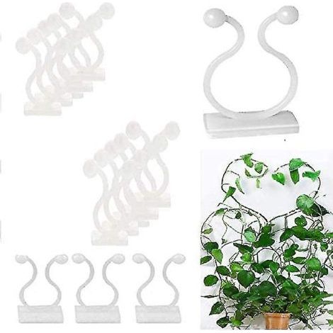 HONORNIC - 50 clips pour plantes grimpantes, supports auto-adhésifs (1/5)