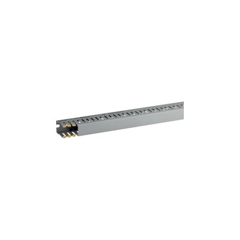 T1-EN 25x40 G Canalina con coestruso morbido modulo 10 feritoia 4, Grigio