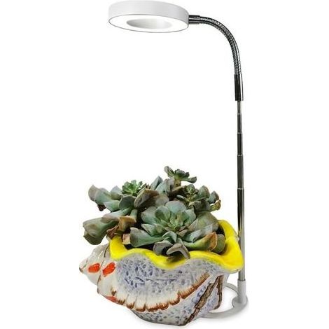 Pflanzenlampe, bodennah, verstellbar und programmierbar, mit Winkelring, Vollspektrum, simuliert Sonnenlicht, Aufhelllicht für Sukkulententöpfe (1/5)