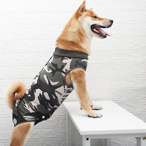 costume(taille M, Camouflage) Combinaison De Convalescence Pour Chien, Protection Abdominale Des Plaies Pour Chien, Protection Des Plaies Aprs Une (1/4)
