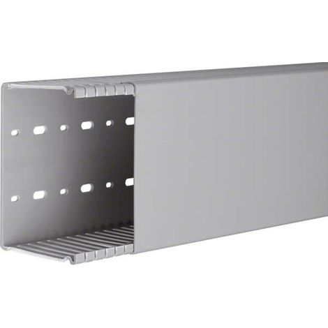 Tehalit Verdrahtungskanal BA6 80120B gr 2 Stk