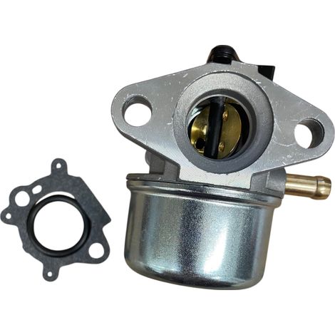 Carburateur pour BRIGGS & STRATTON 498170, 496114, 799868, 698444 (1/5)