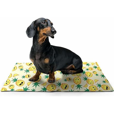 Pet Cooling Mats - Tapis de lit Auto-refroidissant pour Chiens et Chats pour éviter la surchauffe Pendant Le Repos et Le Sommeil - Ananas (30 x 40cm) Lefou (1/5)