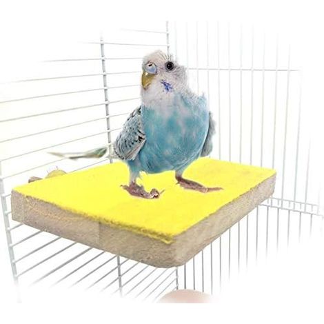 Perchoir Pour Oiseaux - Bois Naturel Avec Surface Rugueuse - Pour Perroquets Pouxins Calopsittes Conures Inséparables - 13 x 9 x 2 cm - 1 Pièce (1/5)