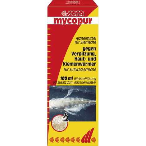 Sera Arzneimittel für Zierfische mycopur 100 ml Heilmittel