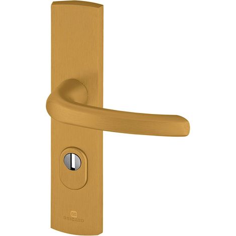 Ensemble de Poignées Blindées sur Plaque Béquille pour Porte d’Entrée (pour Cylindre Européen), Coloris Or (1/2)