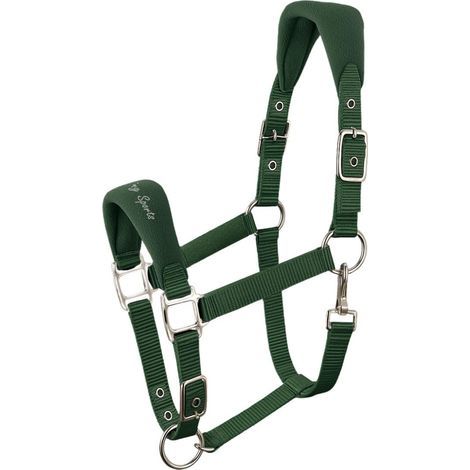 Gepolsterter Nylon-Pferdehalfter mit verstellbaren Riemen, Nasenriemen und Halsstütze für das tägliche Reiten (1/4)