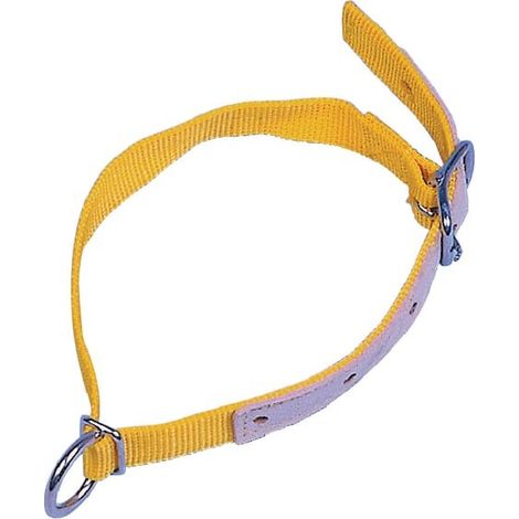 Correas +mango amarillas 60cm KERBL VV2710