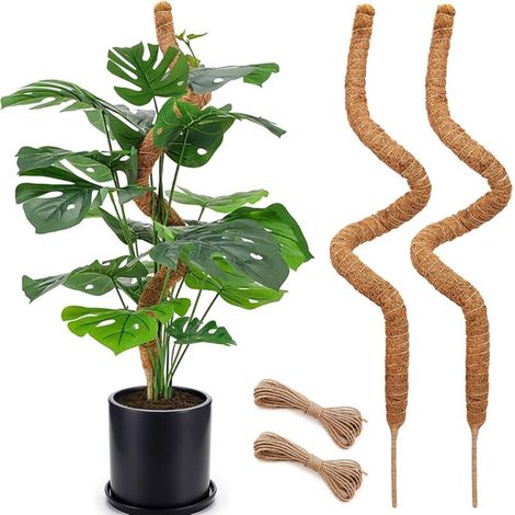 Lot de 2 Poteaux en Mousse de Coco 120 cm – Tuteurs Flexibles pour Plantes Grimpantes, Monstera et Support Jardin (1/5)