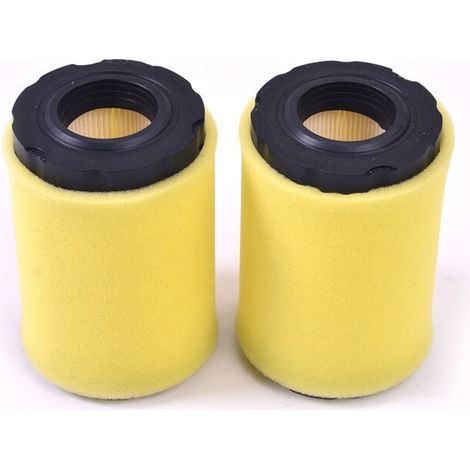 2 Pièces Filtre À Air Pour Tondeuse À Gazon Briggs Stratton 796031 549201 797404 Cartouche Nettoyage (1/4)
