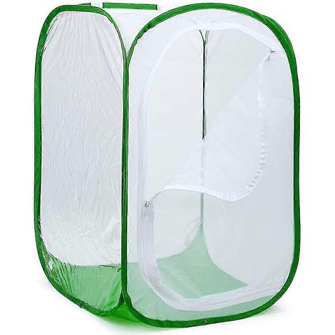 Grand terrarium pliable pour papillons, avec filet à insectes et papillons pour l'élevage. (1/3)