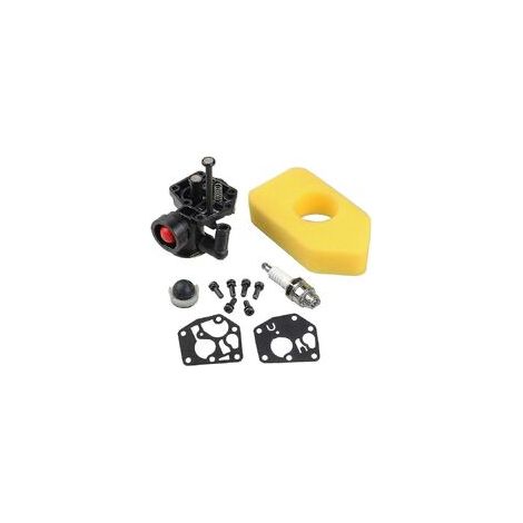 Carburatore + filtro aria per Briggs & Stratton 795469 794147 699660 (1/5)