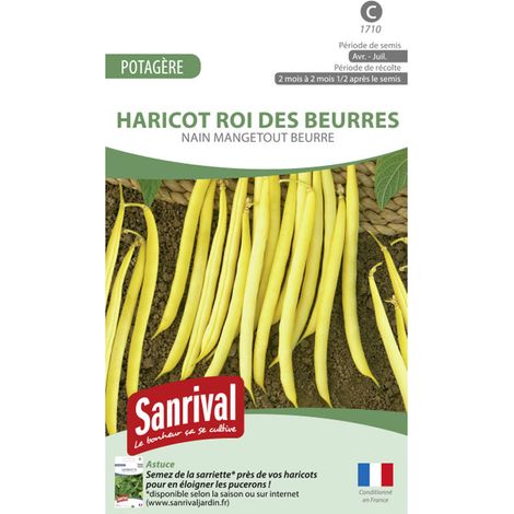 Graines Haricot Nain Roi des Beurres