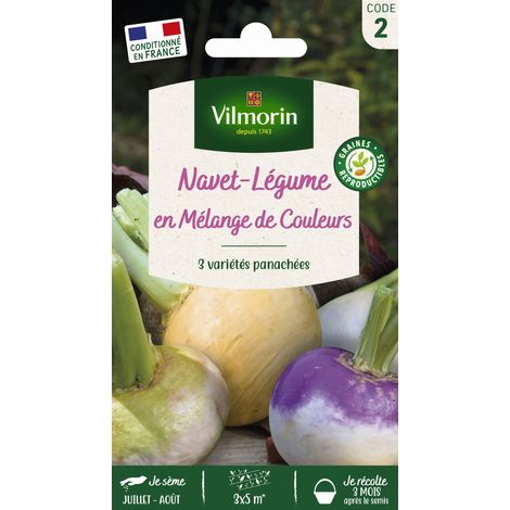 Navet - Mélange de Couleurs Vilmorin (1/2)