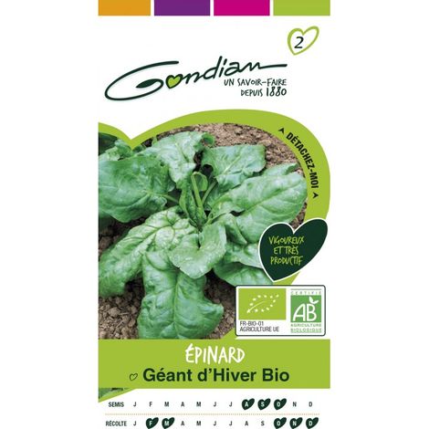 Gondian - epinard geant d'hiver bio