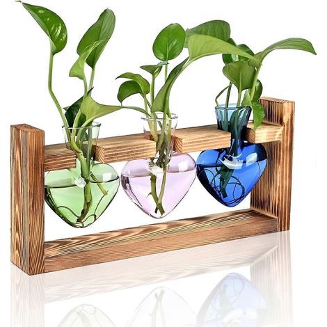 Herzförmiges Terrarium mit Holzständer, geeignet für Hydrokultursysteme. Auch für Büro, Garten und als Dekoration für Zuhause geeignet. Ideal als Geschenk für Frauen. (1/5)