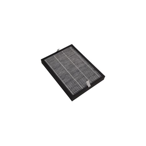 Filtre a charbon actif pour deshumidificateur portable Tasciugo AriaDry Delonghi - 5514810041